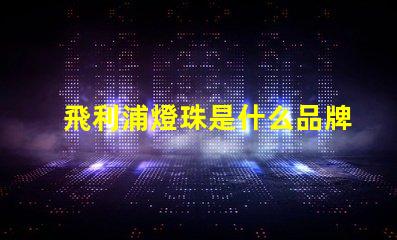 飛利浦燈珠是什么品牌 led燈珠閃爍是什么原因
